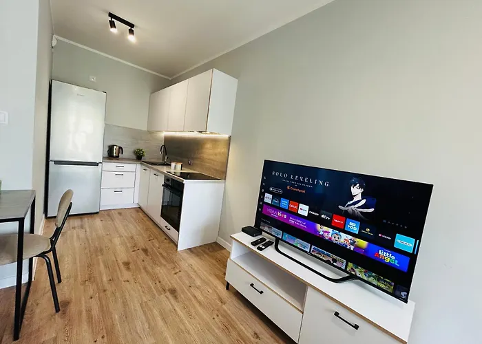 Wygodne Mieszkania Nova Mikolowska 151 * カトヴィツェ